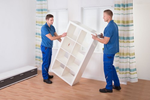 Organized storage unit with boxes for extended storage